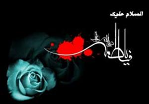 مجھ پراتنی مصیبتیں پڑیں،اگر وہ دنوں پر پڑتیں تو وہ رات میں بدل جاتے