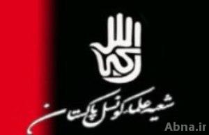 شیعہ علماء کونسل اور پیپلز پارٹی کے درمیان انتخابی معاملات طے