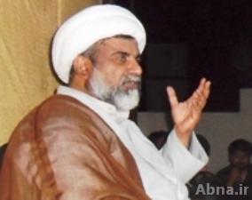دین و سیاست کی وحدت کا نام ولایت فقیہ: علامہ ناصر عباس