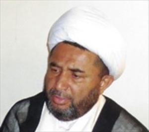 شیعہ علماء کونسل کی پیپلز پارٹی کے ساتھ سیاسی اتفاق کی تردید