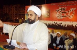 ایم ڈبلیو ایم کا انتخابات میں حصہ لینے کا مقصد، جیت کر پاکستان کو دھشتگردوں سے آزاد کرانا ہے: علامہ شہیدی