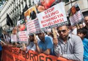 French Rally in Support of Myanmar Muslims