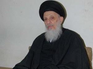 «آية الله السيد محمد الحكيم» يؤكد علي سلمية الحراك في البحرين