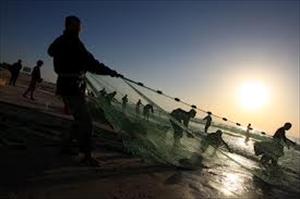 Erneut Schüsse auf Fischerboot vor Gaza