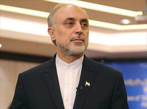 "Aucun rapport entre la présidentielle en Iran et la question nucléaire"; (Salehi)