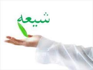 تھائی لینڈ میں چالیس ہزار شیعہ مومن موجود ہیں