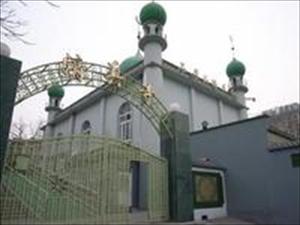 法国塔恩市清真寺遭亵渎