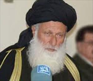 شیعہ ہزارہ کے قتل عام میں ایک عرب ملک ملوث ہے، مولانا محمد شیرانی