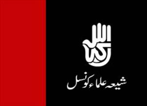 اسلامی تحریک پاکستان کی طرف سے انتخابی امیدواروں پر کئے گئے حملوں کی مذمت