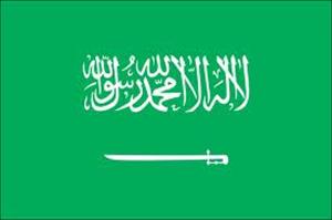سعودی مخالف ٹی وی چینل کا آغاز