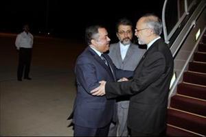 وزیر خارجہ: اردن، شام میں خونریزی کے خاتمے کا خواہاں