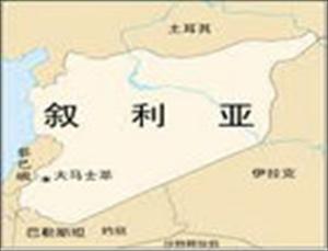 西方为干涉叙利亚内政寻找借口