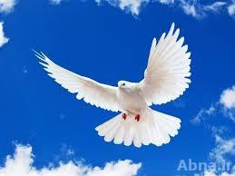 ျငိမ္းခ်မ္းစြာအတူယွဥ္တြဲေနထိုင္ေရး အလုပ္ရုံေဆြးေႏြးပြဲ ေအာင္ပန္းျမိဳ႕တြင္က်င္းပ