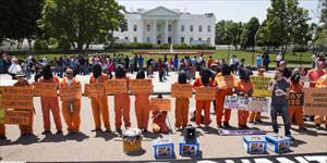 Guantanamo : une pétition au centième jour de la grève de la faim