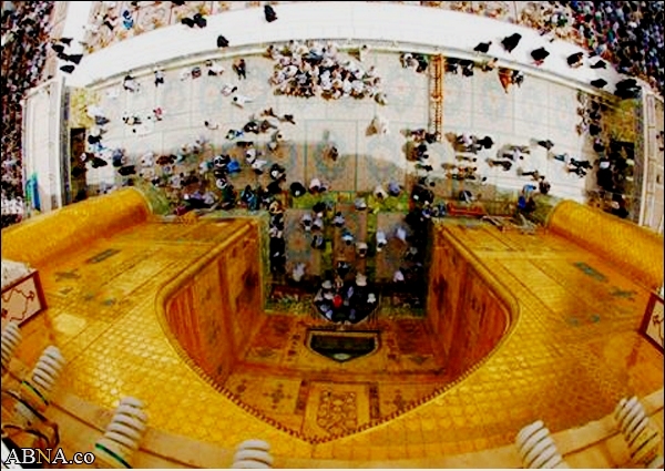 Wonderful Image of Imam Ali's Golden Portico