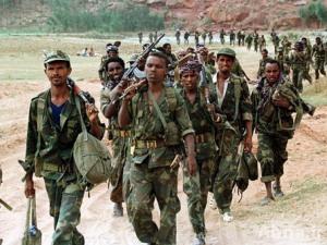 الجيش السوداني يقول إنه قتل 70 متمرداً بولاية جنوب كردفان