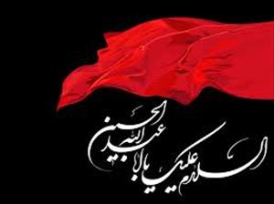 Internationale Imam Hussain (AS) Konferenz in Lahore geplant