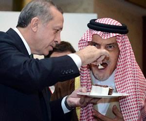 Tayyip Erdoğan Düşerken