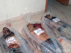القضاء على إرهابيين وتدمير أوكارهم في أرياف دمشق وحلب والقصير
