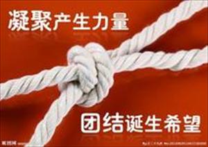 阿亚图拉马卡里姆：伊斯兰学者须深知伊斯兰觉醒的价值