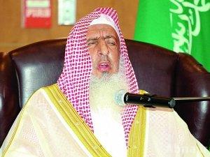 مفتي السعودية يدعو للتحرك ضد حزب الله اللبناني