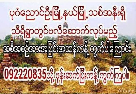 လွည္းဝင္႐ိုးသံတညံညံ ပုဂံဘုရားေပါင္း (သေရာ္စာ)