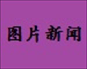 伊斯兰革命领袖会见第31届国际古兰经比赛选手