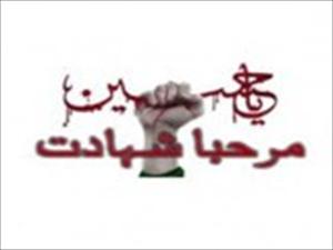 تکفیری غنڈوں کی فائرنگ سے شیعہ حاجی علی اکبر شہید