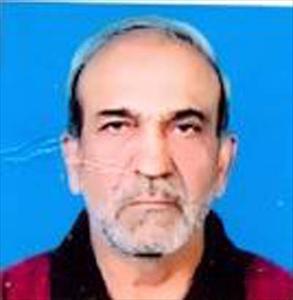 Pakistan: Former diplomat urges Muslim countries to follow Islamic democratic system