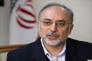 شام کے حالات بیرونی ملکوں کی دشمنی کا نتیجہ