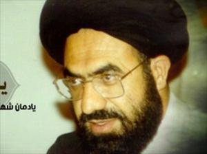 علامہ عارف حسینی کے پوتے سمیت ۱۴ افراد شہید
