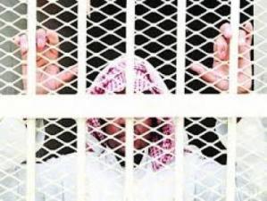 120 سجينا سياسيا سعوديا ينفذون إضرابا عن الطعام
