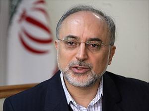 Salehi tient une rencontre avec son homologue libanais