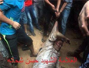 Takfiri Extremists Martyr Prominent Shia Sheikh and 4 others in Egypt