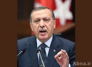 اردوغان يشيد بقمع شرطة بلاده للمتظاهرين