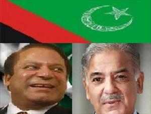 حکومت تحفظ نہیں کرسکتی تو واضح کہہ دے، مجلس وحدت مسلمین