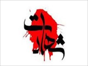 بکھر؛ تکفیری وہانی دہشتگردوں کی فائرنگ سے شیعہ نوجوان محمد علی شہید