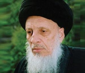 Ayatollah Hakim: "Regional intrigues are behind recent terror attacks"