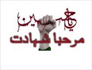 شہید ہونا ہے لیکن مقابلہ تو کرو