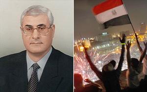 Mursi yerine atanan Adli Mansur kim?