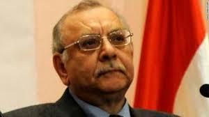 عدلیہ کے سربراہ منصور عدلی عبوری صدر منتخب