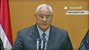 “Expectación por la Declaración del Presidente interino de Egipto sobre el rol de la Constitución durante el Período de Transici