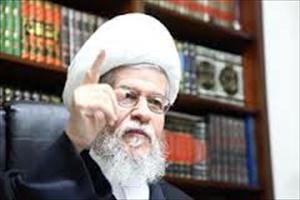 لبنان میں مزاحمت کے کردار کی اھمیت پر تاکید