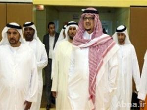 وفد اماراتي يزور مصر خلال ايام