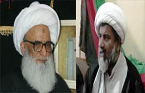 پاکستان میں ملت تشیع کی داخلی وحدت کیلئے کلیدی کردار کرنے کیلئے تیار ہیں، آیت اللہ حافظ بشیر نجفی