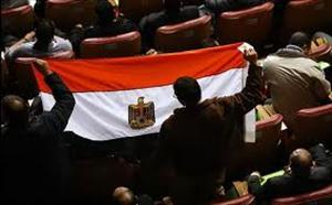 مصر میں نئے بنیادی آئین میں ترمیم کیلئے ریفرنڈم چار ماہ بعد
