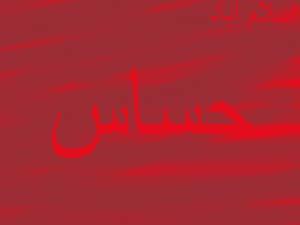 اسلام آباد میں 30 مساجد اور 29 امام بارگاہیں حساس قرار