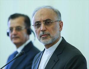 Les sionistes cherchent à semer le discord et les différends ethniques au Liban; Salehi