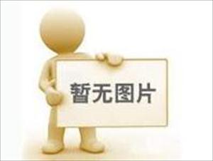 1200件外国作品参加第十届“以真主之名国际艺术节”