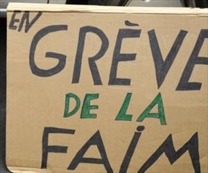 Manifestants turcs arrêtés en grève de la faim